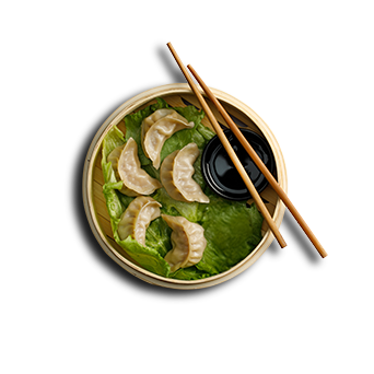 Gyozas rellenas de pollo
